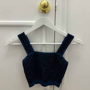 NWT Never Worn Bandier Sincerely Jules Crop Top